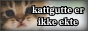 sad kitten looking at viewer with text sayins kattgutte er ikke ekte